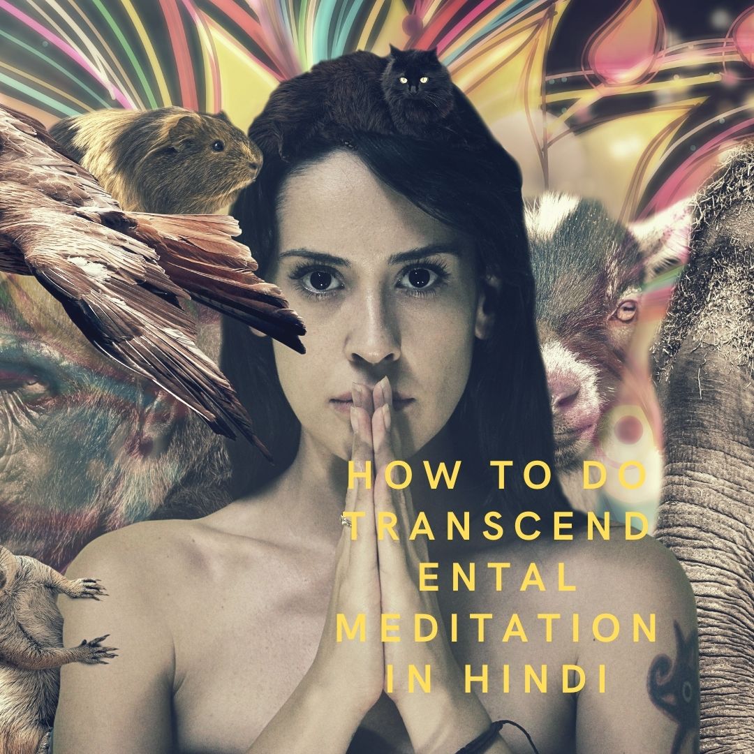 How To Do Transcendental Meditation in Hindi