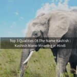 Top 3 Qualities Of The Name Kashish: Kashish Name Meaning in Hindi