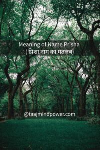 Meaning of Name Prisha ( प्रिशा नाम का मतलब)