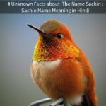 Sachin Name Meaning in Hindi: 4 Best Unknown Facts about The Name Sachin
