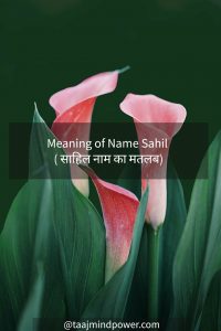 Meaning of Name Sahil ( साहिल नाम का मतलब)