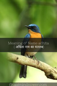  Meaning of Name adhita ( अधिता नाम का मतलब)