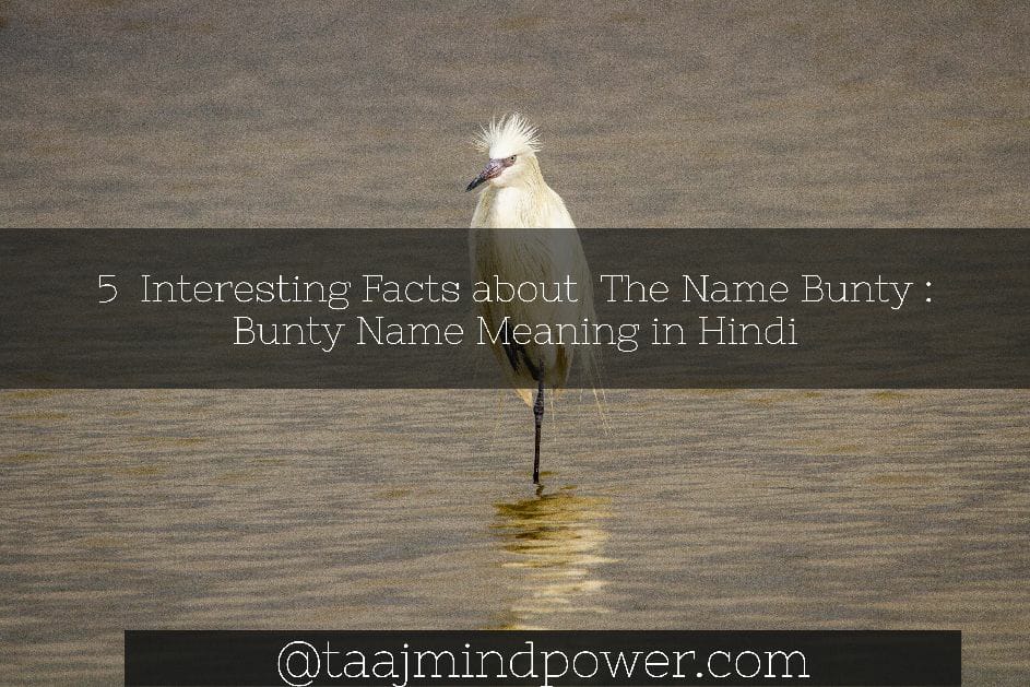 Bunty Name Meaning in Hindi