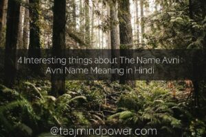 Avni Name Meaning in Hindi : 4 Interesting things about The Name Avni 