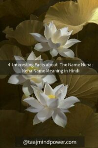 4  Interesting Facts about  The Name Neha: Neha Name Meaning in Hindi  