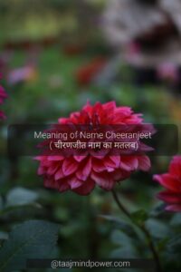 Meaning of Name Cheeranjeet ( चीरणजीत नाम का मतलब)