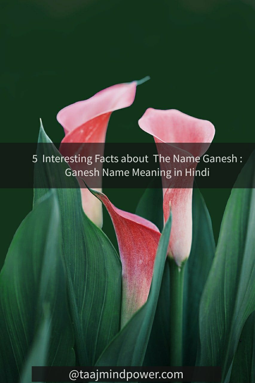 Ganesh Name Meaning in Hindi