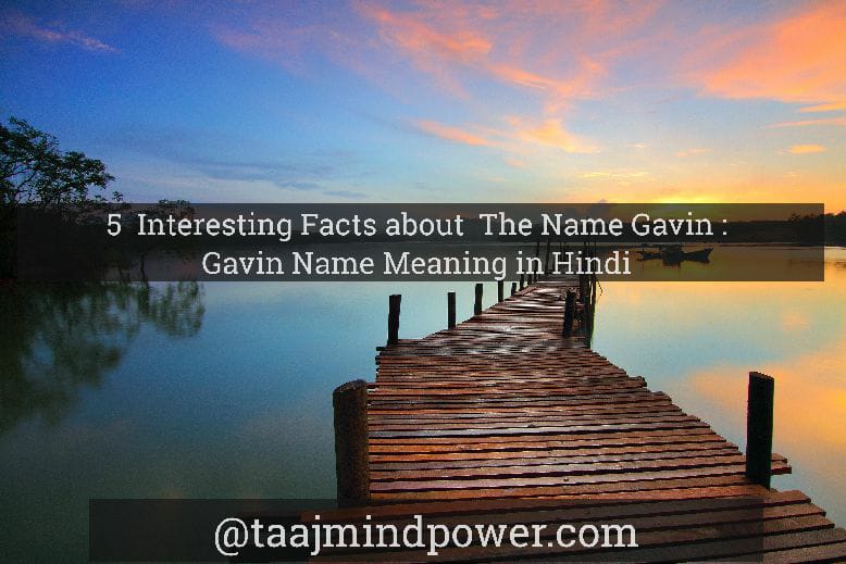 Gavin Name Meaning in Hindi