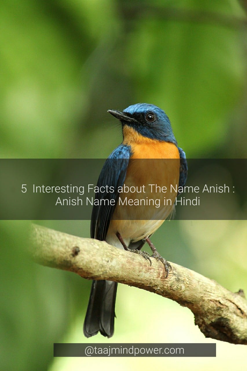 Anish Name Meaning in Hindi