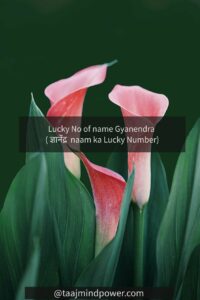 3) Lucky No of name Gyanendra ( ज्ञानेंद्र naam ka Lucky Number)