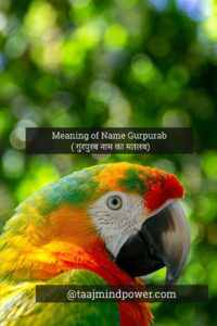 Meaning of Name Gurpurab ( गुरपुरब नाम का मतलब)