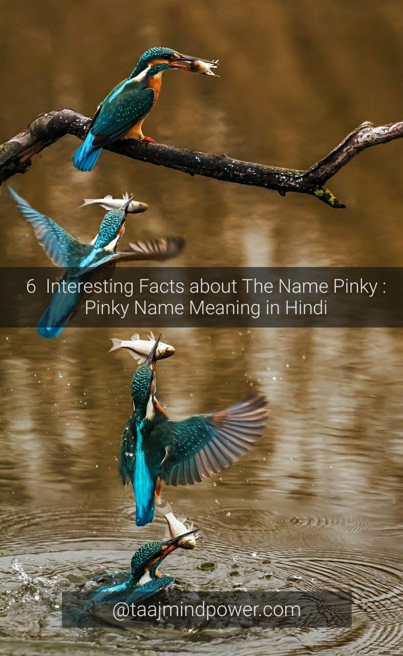Pinky Name Meaning in Hindi