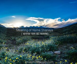Meaning of Name Shanaya ( शनाया नाम का मतलब)