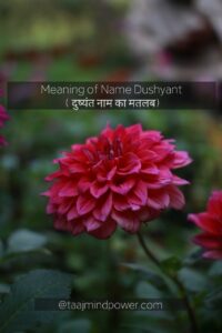 1) Meaning of Name Dushyant ( दुष्यंत नाम का मतलब)