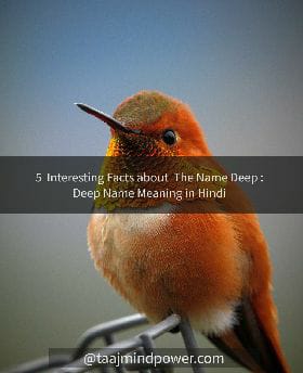 5 Interesting Facts about The Name Deep: Deep Name Meaning in Hindi