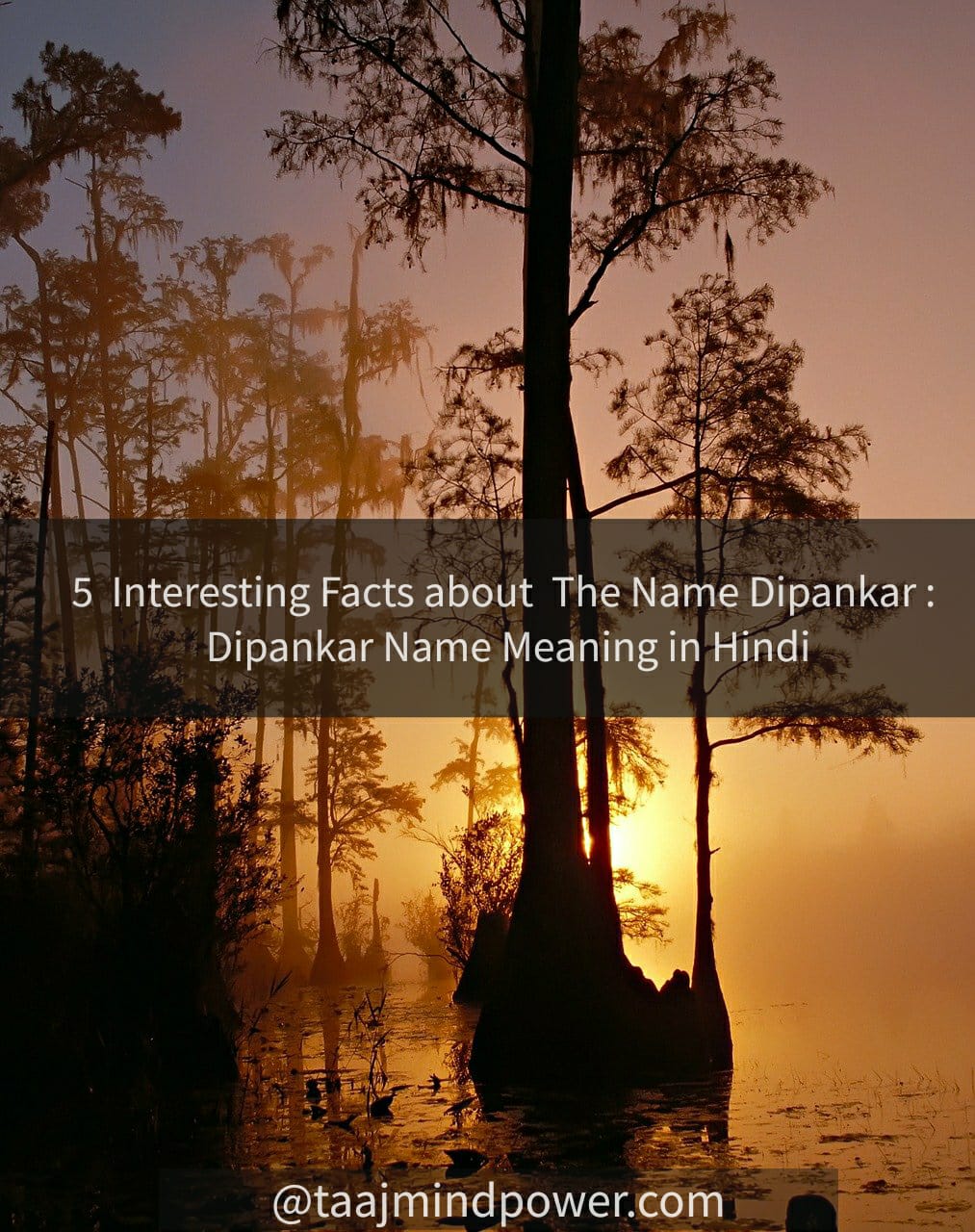 Dipankar Name Meaning in Hindi