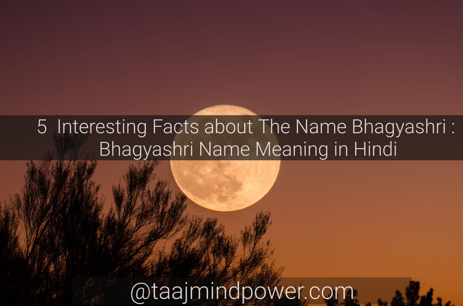 Bhagyashri Name Meaning in Hindi