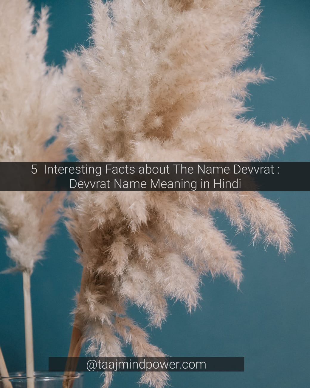 Devvrat Name Meaning in Hindi