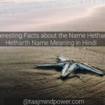 5 Interesting Facts about The Name Hetharth : Hetharth Name Meaning in Hindi
