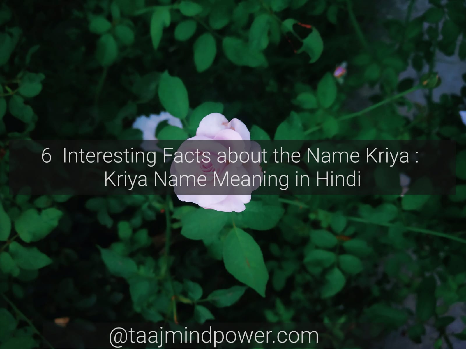 Kriya Name Meaning in Hindi