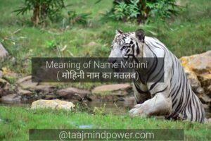 Meaning of Name Mohini ( मोहिनी नाम का मतलब)