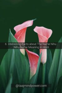 6 Interesting Facts about The Name Nihu : Nihu Name Meaning in Hindi