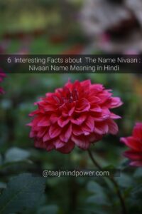 6 Interesting Facts about The Name Nivaan : Nivaan Name Meaning in Hindi