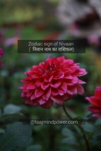 Zodiac sign of Nivaan ( निवान नाम का राशिफल)
