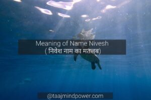 Meaning of Name Nivesh 