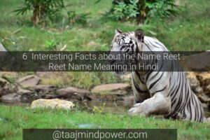 6 Interesting Facts about The Name Reet: Reet Name Meaning in Hindi