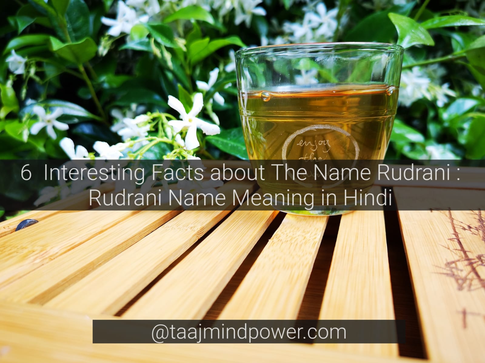Rudrani Name Meaning in Hindi
