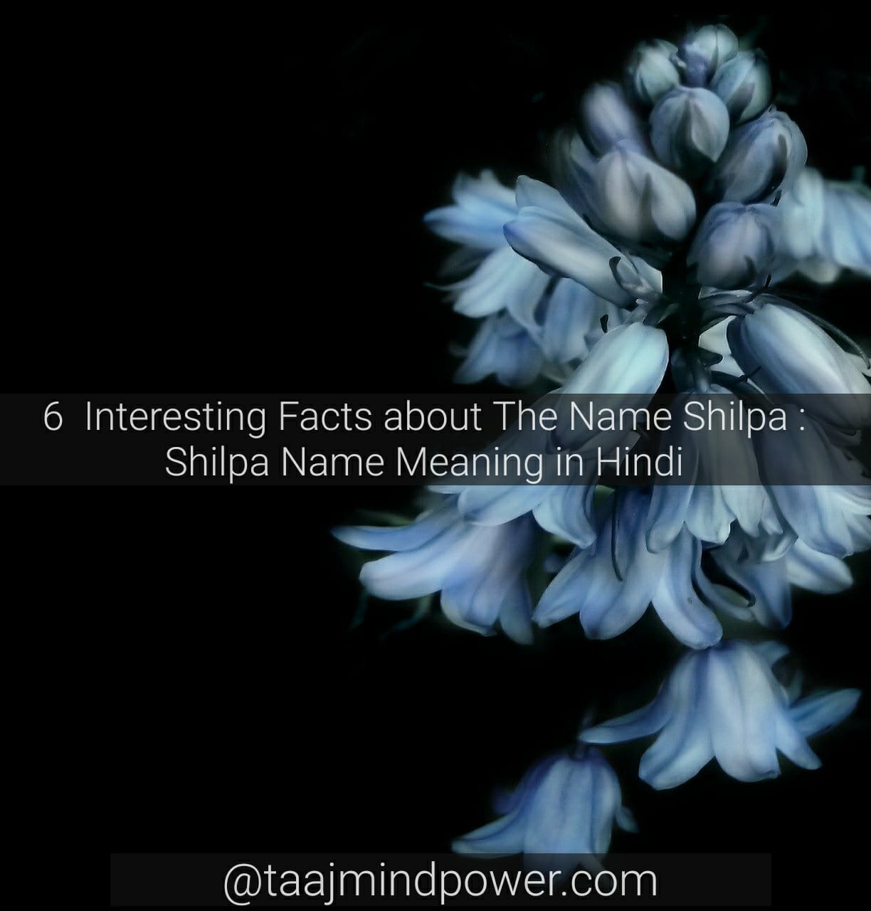 Shilpa Name Meaning in Hindi