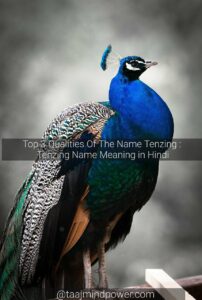 Top 3 Qualities Of The Name Tenzing : Tenzing Name Meaning in Hindi