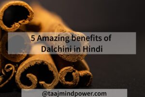 Amazing benefits of Dalchini in Hindi 