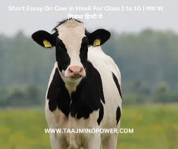 (गाय पर निबन्ध हिन्दी में) Short Essay On Cow in Hindi For Class