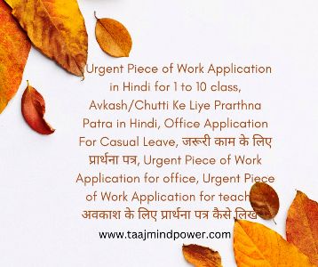 Urgent Piece of Work Application in Hindi