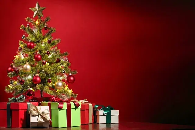 Best Christmas Essay in Hindi | क्रिसमस का महत्व पर निबंध